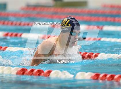 Thumbnail 2 in CHSAA 5A Boys Swimming - State Championship photogallery.