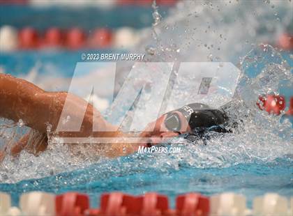 Thumbnail 2 in CHSAA 5A Boys Swimming - State Championship photogallery.