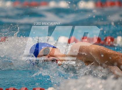 Thumbnail 1 in CHSAA 5A Boys Swimming - State Championship photogallery.