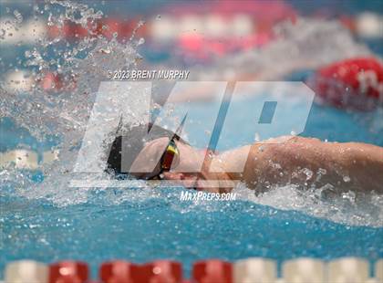 Thumbnail 1 in CHSAA 5A Boys Swimming - State Championship photogallery.
