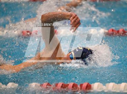 Thumbnail 3 in CHSAA 5A Boys Swimming - State Championship photogallery.
