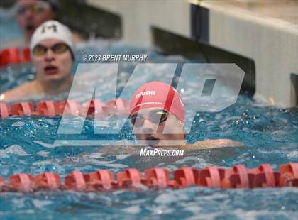 Thumbnail 2 in CHSAA 5A Boys Swimming - State Championship photogallery.