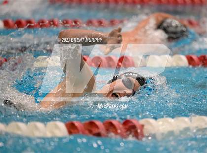 Thumbnail 1 in CHSAA 5A Boys Swimming - State Championship photogallery.