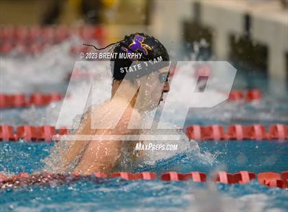 Thumbnail 1 in CHSAA 5A Boys Swimming - State Championship photogallery.