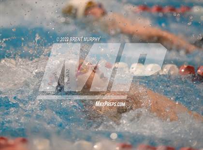Thumbnail 1 in CHSAA 5A Boys Swimming - State Championship photogallery.