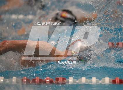 Thumbnail 2 in CHSAA 5A Boys Swimming - State Championship photogallery.