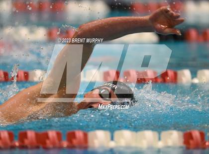 Thumbnail 1 in CHSAA 5A Boys Swimming - State Championship photogallery.