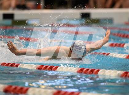 Thumbnail 1 in CHSAA 5A Boys Swimming - State Championship photogallery.