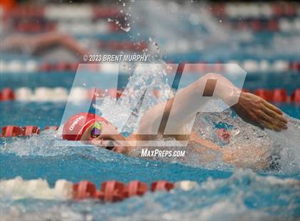 Thumbnail 2 in CHSAA 5A Boys Swimming - State Championship photogallery.