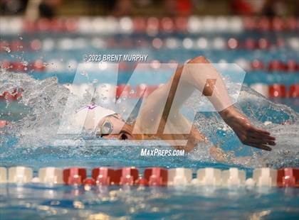 Thumbnail 1 in CHSAA 5A Boys Swimming - State Championship photogallery.