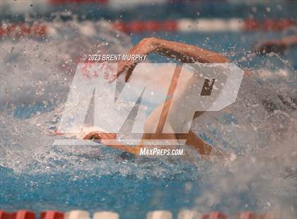 Thumbnail 2 in CHSAA 5A Boys Swimming - State Championship photogallery.