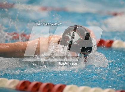 Thumbnail 3 in CHSAA 5A Boys Swimming - State Championship photogallery.