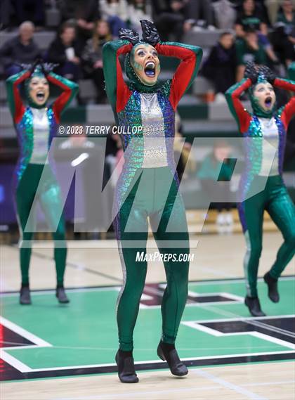 Thumbnail 3 in Hillcrest photogallery.