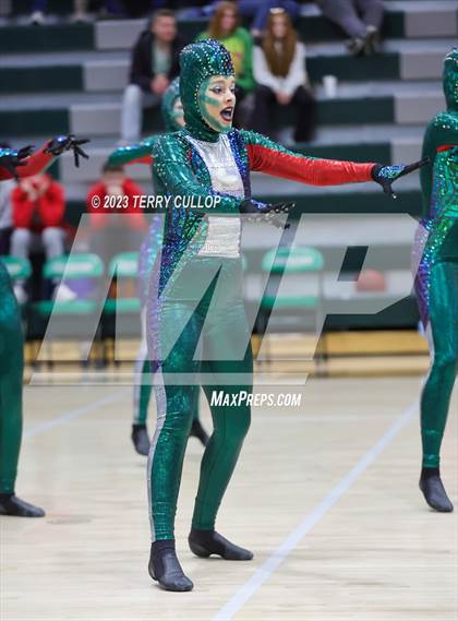 Thumbnail 3 in Hillcrest photogallery.