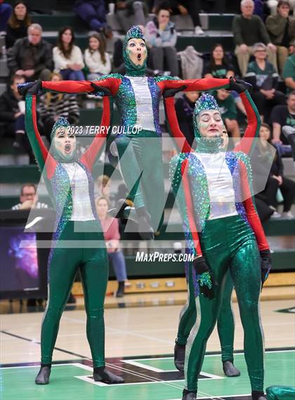 Thumbnail 1 in Hillcrest photogallery.