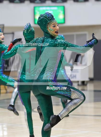 Thumbnail 2 in Hillcrest photogallery.