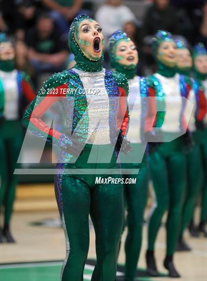 Thumbnail 1 in Hillcrest photogallery.