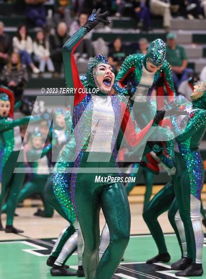 Thumbnail 2 in Hillcrest photogallery.