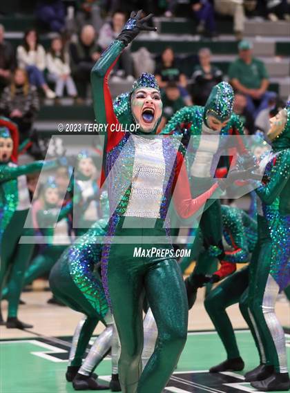 Thumbnail 1 in Hillcrest photogallery.