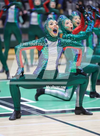 Thumbnail 1 in Hillcrest photogallery.