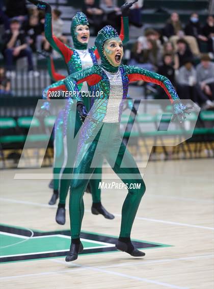 Thumbnail 1 in Hillcrest photogallery.