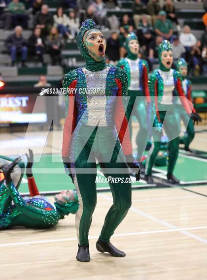 Thumbnail 3 in Hillcrest photogallery.