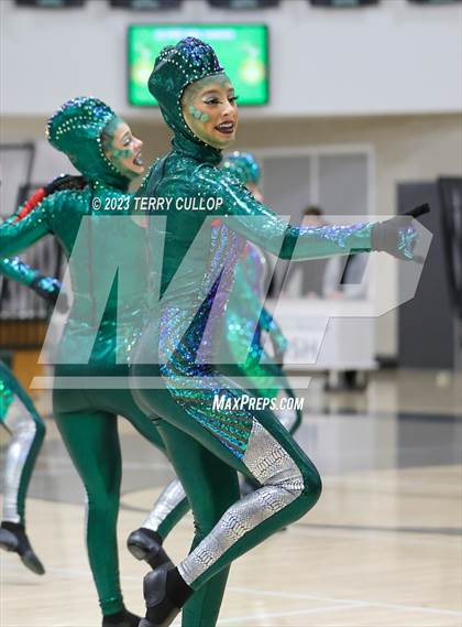 Thumbnail 3 in Hillcrest photogallery.