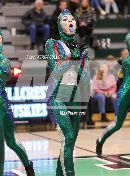 Thumbnail 3 in Hillcrest photogallery.