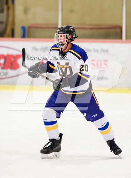 Thumbnail 2 in Desert Vista vs Shadow Ridge (AHSHA Division 3 Final)  photogallery.