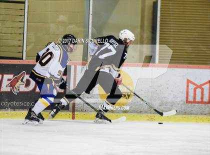 Thumbnail 2 in Desert Vista vs Shadow Ridge (AHSHA Division 3 Final)  photogallery.