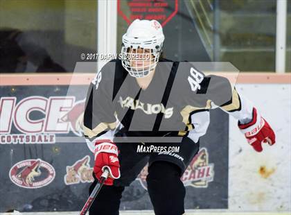 Thumbnail 1 in Desert Vista vs Shadow Ridge (AHSHA Division 3 Final)  photogallery.