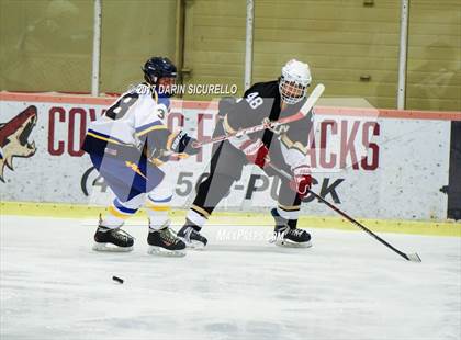 Thumbnail 1 in Desert Vista vs Shadow Ridge (AHSHA Division 3 Final)  photogallery.