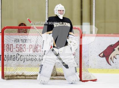 Thumbnail 1 in Desert Vista vs Shadow Ridge (AHSHA Division 3 Final)  photogallery.