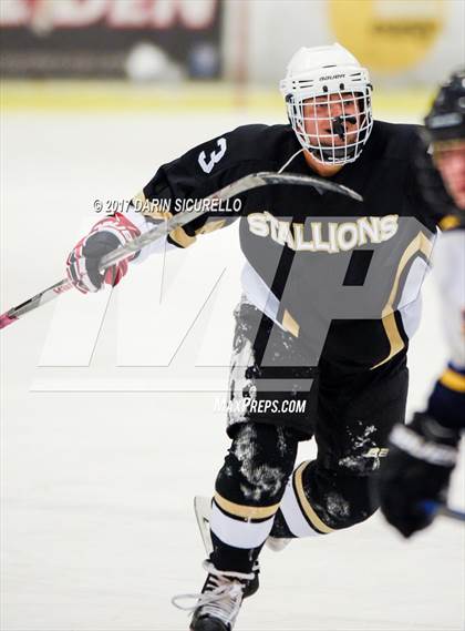 Thumbnail 3 in Desert Vista vs Shadow Ridge (AHSHA Division 3 Final)  photogallery.
