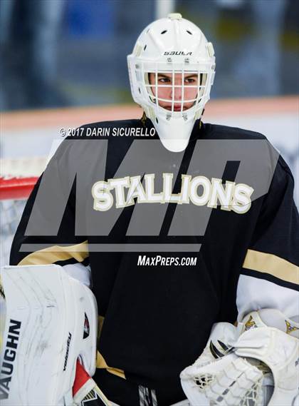 Thumbnail 2 in Desert Vista vs Shadow Ridge (AHSHA Division 3 Final)  photogallery.