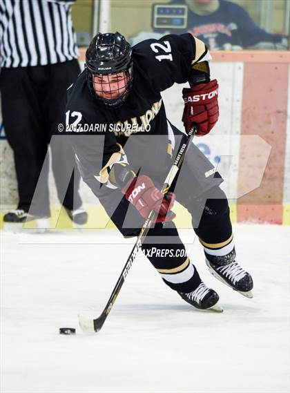 Thumbnail 3 in Desert Vista vs Shadow Ridge (AHSHA Division 3 Final)  photogallery.
