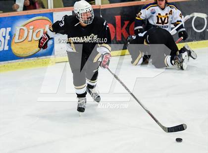 Thumbnail 3 in Desert Vista vs Shadow Ridge (AHSHA Division 3 Final)  photogallery.