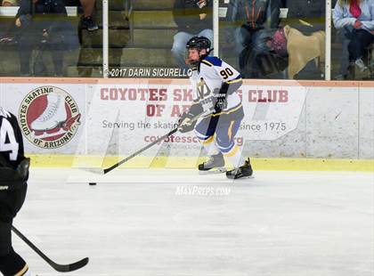 Thumbnail 1 in Desert Vista vs Shadow Ridge (AHSHA Division 3 Final)  photogallery.