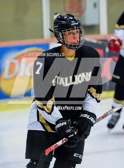 Thumbnail 1 in Desert Vista vs Shadow Ridge (AHSHA Division 3 Final)  photogallery.