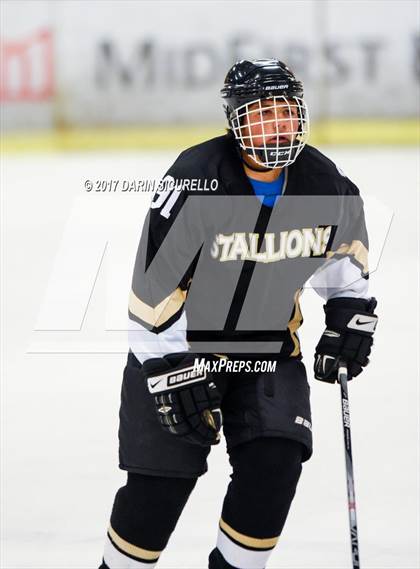 Thumbnail 3 in Desert Vista vs Shadow Ridge (AHSHA Division 3 Final)  photogallery.