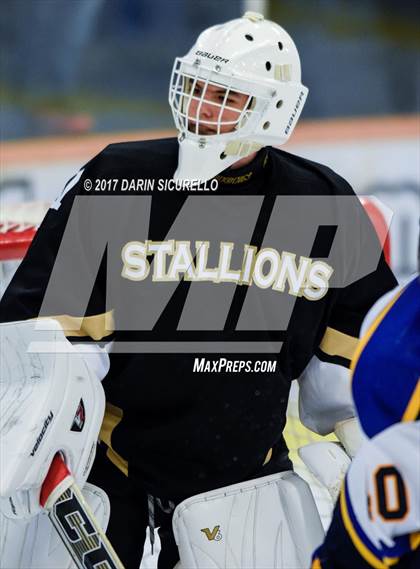 Thumbnail 3 in Desert Vista vs Shadow Ridge (AHSHA Division 3 Final)  photogallery.