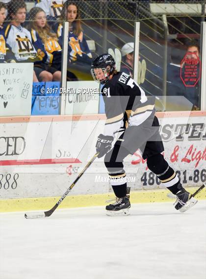 Thumbnail 2 in Desert Vista vs Shadow Ridge (AHSHA Division 3 Final)  photogallery.