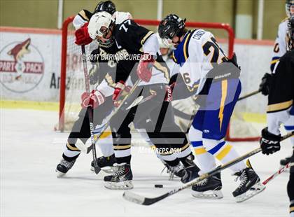 Thumbnail 3 in Desert Vista vs Shadow Ridge (AHSHA Division 3 Final)  photogallery.