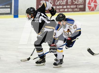 Thumbnail 3 in Desert Vista vs Shadow Ridge (AHSHA Division 3 Final)  photogallery.