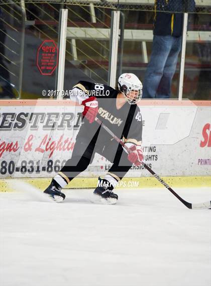Thumbnail 1 in Desert Vista vs Shadow Ridge (AHSHA Division 3 Final)  photogallery.