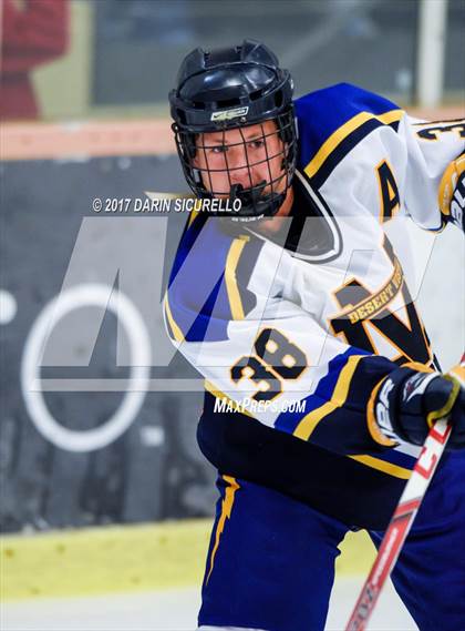 Thumbnail 2 in Desert Vista vs Shadow Ridge (AHSHA Division 3 Final)  photogallery.