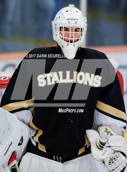 Thumbnail 3 in Desert Vista vs Shadow Ridge (AHSHA Division 3 Final)  photogallery.
