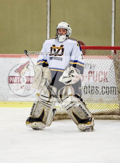 Thumbnail 3 in Desert Vista vs Shadow Ridge (AHSHA Division 3 Final)  photogallery.