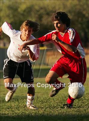 Thumbnail 1 in Mira Loma @ Bella Vista photogallery.