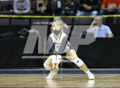 Thumbnail 1 in Sterling vs Lutheran (CHSAA 3A 1st Round) photogallery.